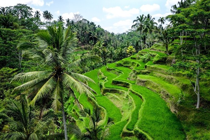 Central Bali Tour: Ubud Village, Kintamani Volcano, and Waterfall - Tegenungan Waterfall: the easiest nature payoff of the day