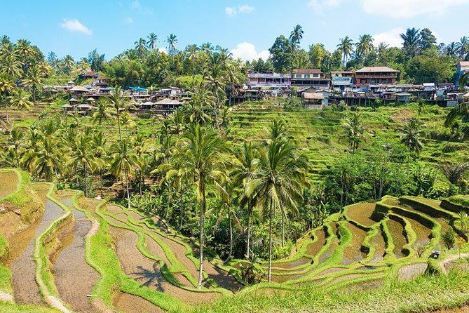 Central Bali Tour: Ubud Village, Kintamani Volcano, and Waterfall - Price and value: what $70 actually buys you