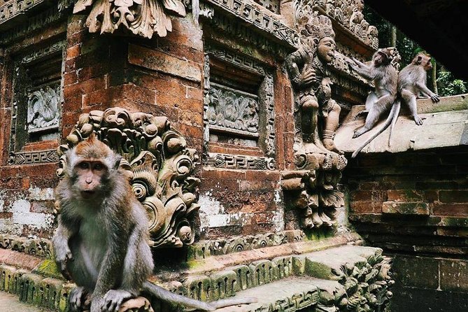 Charter Standard Vehicle with Driver at Bali- 5 Hours Usage - Ubud and Gianyar options: how to keep a half-day feeling complete
