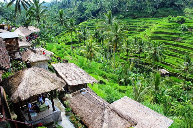 Charter Standard Vehicle with Driver at Bali- 5 Hours Usage - Price and value: why $13 can be a steal or a trap