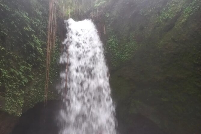 CRETYA Ubud infinity Pool + Hidden Water fall + Water Temple Tour - Mas Carving Center: Wood, Paint, and Silver Jewelry Stops Without the Pressure