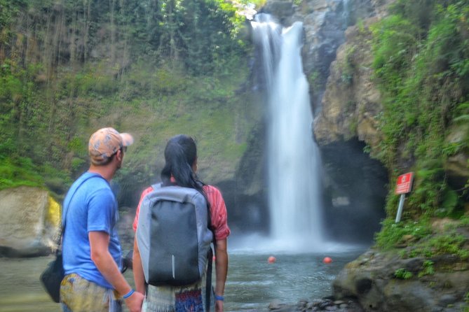 Cretya Ubud Tours - Price and value: what $47 covers and what you might add