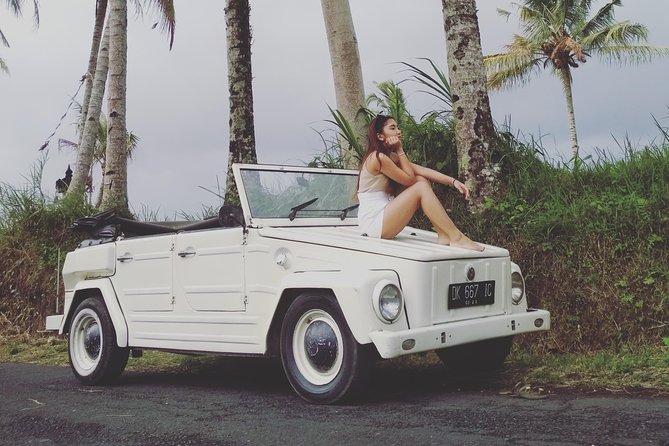 Daily VW Tour - Ubud VW Tour - Key things to know before you go