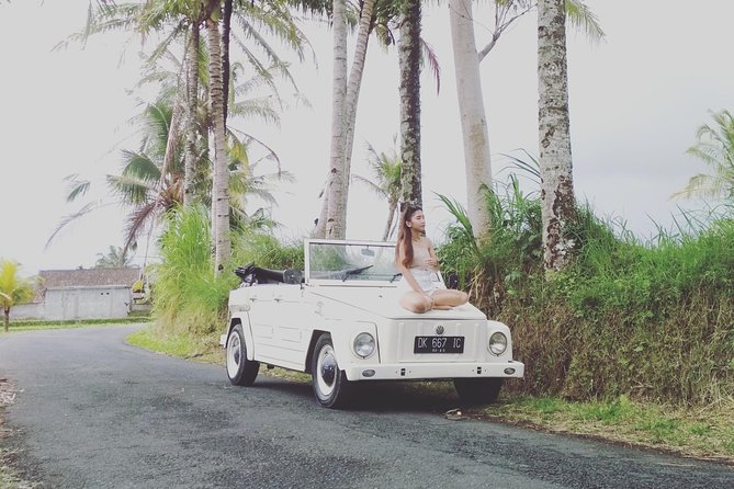 Daily VW Tour - Ubud VW Tour - Professional Driver Time: Ask for Santanu