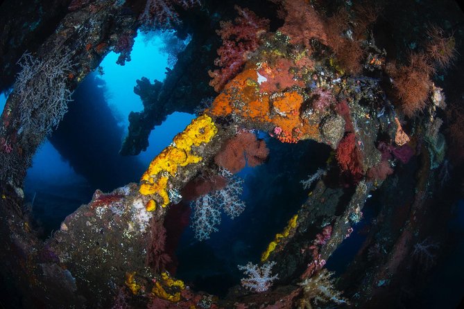 Day Trip certified divers - 3 Dives in Tulamben (pick-up & drop-off included) - Lunch, hot drinks, and the rhythm of going in and out