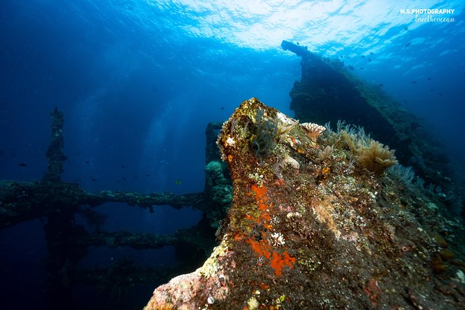 Day Trip certified divers - 3 Dives in Tulamben (pick-up & drop-off included) - Price check: is $149.80 worth three underwater sessions?