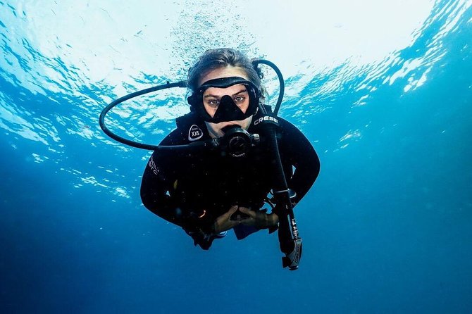 Day Trip certified divers - 3 Dives in Tulamben (pick-up & drop-off included) - What you might see underwater, based on what guides tend to highlight