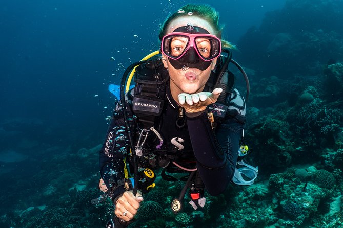 Day Trip certified divers - 3 Dives in Tulamben (pick-up & drop-off included) - The 7:00 AM pickup and how the day actually runs