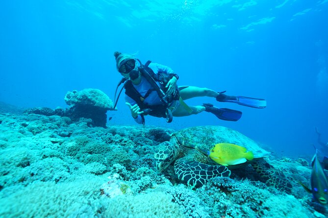 Day Trip Discover Scuba dive in Nusa Penida 2 dives (From Sanur - South Bali) - Key things I would not skip on this day trip
