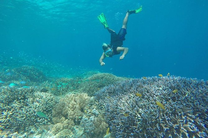 Day Trip Gili Trawangan, Gili Meno, Gili Air (Depart Lombok) - Gili Meno turtle sanctuary and the Jason deCaires Taylor statues