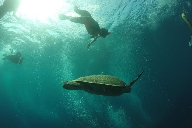 Day Trip Gili Trawangan, Gili Meno, Gili Air (Depart Lombok) - Malimbu Hill for sea views and a calmer wrap-up