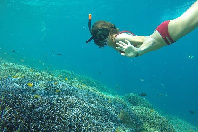Day Trip Gili Trawangan, Gili Meno, Gili Air (Depart Lombok) - Gili Air Fish Garden snorkeling: where you start swimming