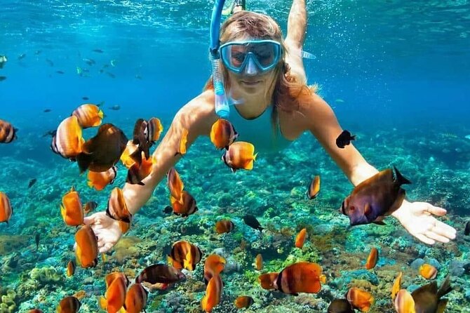 Day Trip: Nusa Penida Snorkling - The Lunch Break: Local Food and Nusa Penida Views