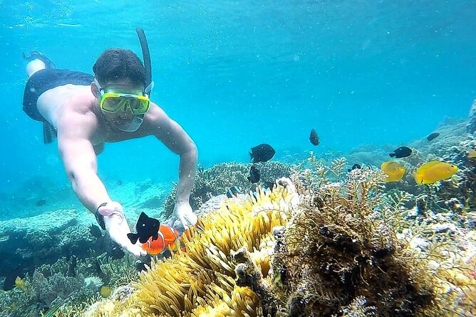 Day Trip Secret Island West Of Lombok - Key things I’d highlight before you go