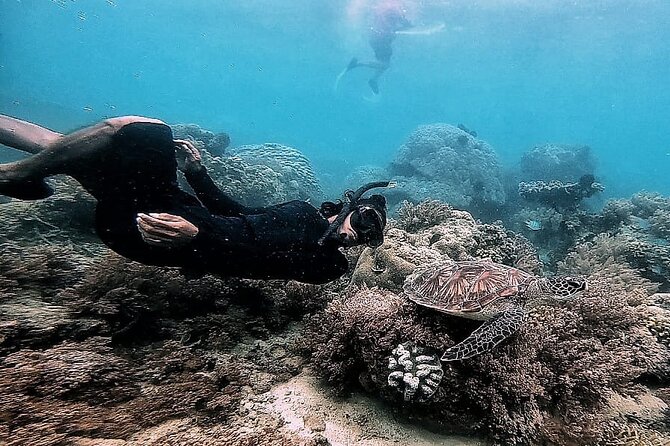 Day Trip Secret Island West Of Lombok - Price and value: $125 per group up to 4, for about 8 hours