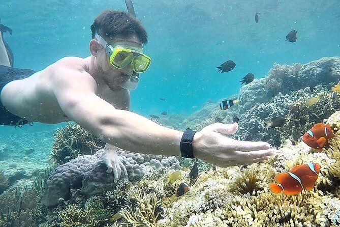 Day Trip Secret Island West Of Lombok - Gili Rengit: very clear water with quiet waves