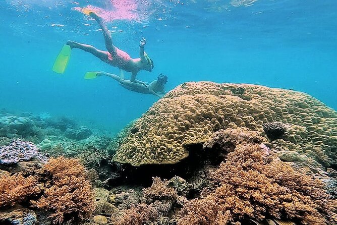 Day Trip Secret Island West Of Lombok - Gili Asahan: greenish-water snorkeling and coral reef life