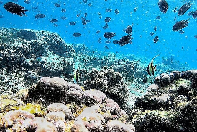 Day Trip Secret Island West Of Lombok - Boat time and transfers: how to stay comfortable for 8 hours