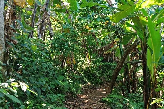 Day Trip Waterfall (Benang Kelambu, Benang Stokel, Sesere) - How the Bike Option Changes the Effort (and What to Bring)