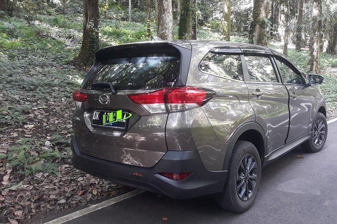 Departure Transfer from Seminyak, Kerobokan to Bali Airport (DPS) - Key points to know before you go