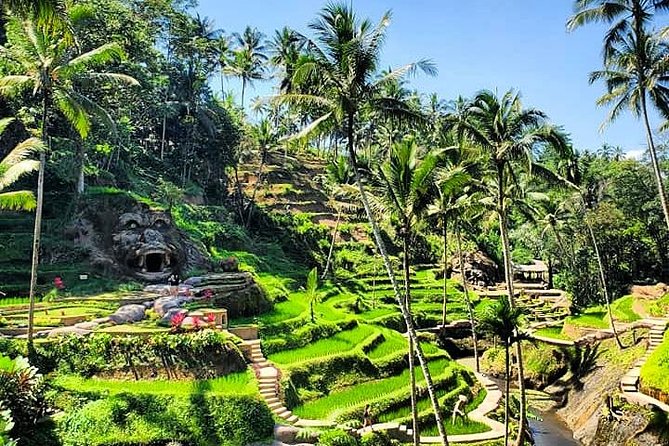 Design Your Own Bali Tour - Drivers in the Driver’s Seat, Not Just the Car