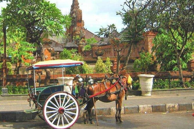Discover Bali : Shore Excursion from Benoa Port with Free Wi-Fi - Key highlights at a glance