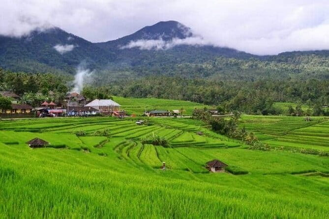 Discover Bali : Shore Excursion from Benoa Port with Free Wi-Fi - Stop 3: Tirta Empul Temple and the Holy Spring Water Ritual