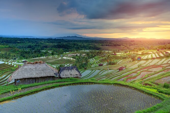 Discover Hidden Waterfall, Unesco Rice Terraces and Mountain Temple - Private Pickup, Comfortable Car, and a Smarter Pace