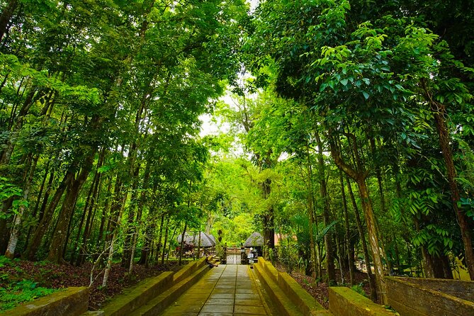 Discover Hidden Waterfall, Unesco Rice Terraces and Mountain Temple - Value for $55.59: What You Get (and What That Price Really Covers)