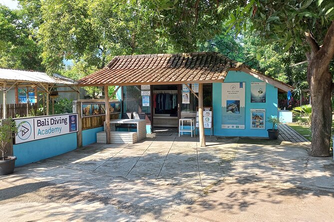 Discover Scuba Diving in Pemuteran at the Biorock site,1 shore dive all included - Menjangan Island stop: great reef scenery, and one extra cost