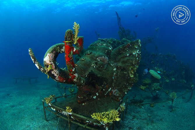Discover Scuba Diving in Pemuteran at the Biorock site,1 shore dive all included - Gear, comfort, and what to bring
