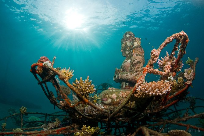 Discover Scuba Diving in Pemuteran at the Biorock site,1 shore dive all included - The full 5-hour plan, and what happens when