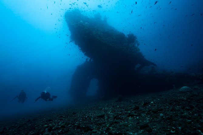 Discover Scuba Diving in Tulamben - Diving Initiation in Bali best diving sites - Coral Garden first, then the USS Liberty Shipwreck