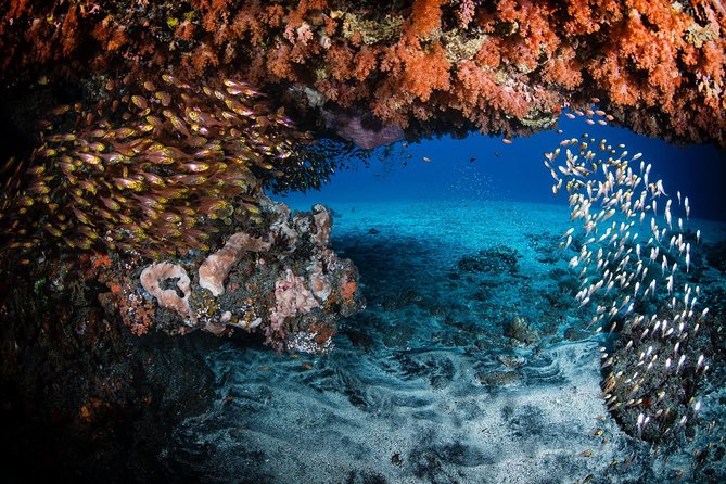 Discover Scuba Diving in Tulamben - Diving Initiation in Bali best diving sites - Should you book this Tulamben scuba initiation?