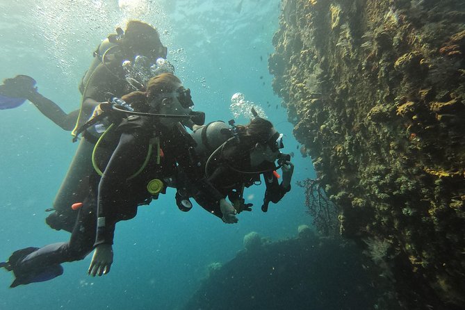 Discover Scuba Diving Tulamben Bali For Non-Certified Divers - The specific wreck experience: WWII structure plus coral growth