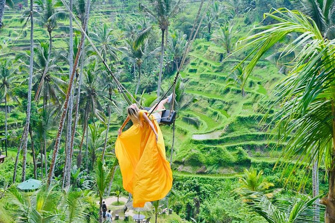 Discover The Best of Ubud: All-Inclusive and Private Guided Tour - Why This Ubud Route Works So Well