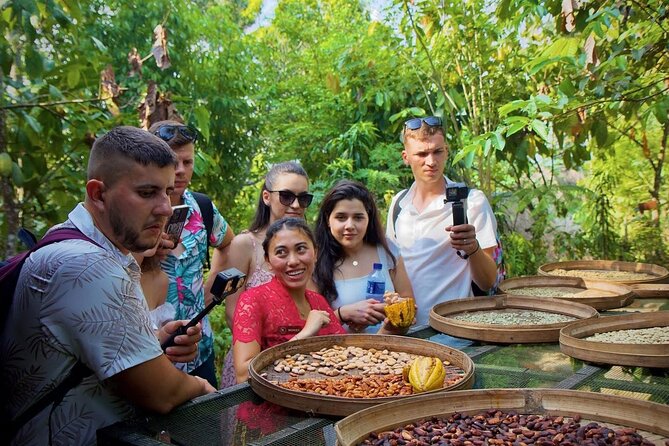Discover The Best of Ubud: All-Inclusive and Private Guided Tour - Stop 2: Tegalalang Rice Terraces Walk and Farming Traditions
