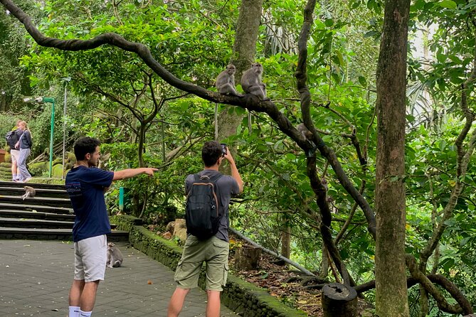 Discover The Best of Ubud: All-Inclusive and Private Guided Tour - Stop 5: Tirta Empul Holy Water Temple and the Sarong Moment