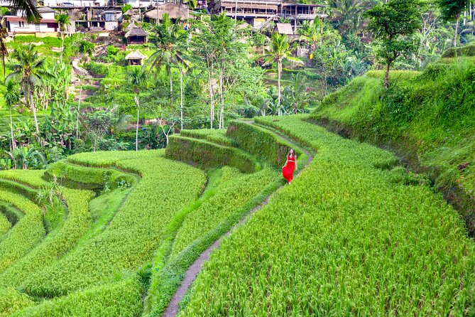 Discover The Best of Ubud: All-Inclusive and Private Guided Tour - Getting Moving: Pickup, WiFi, and Photo-Friendly Guidance