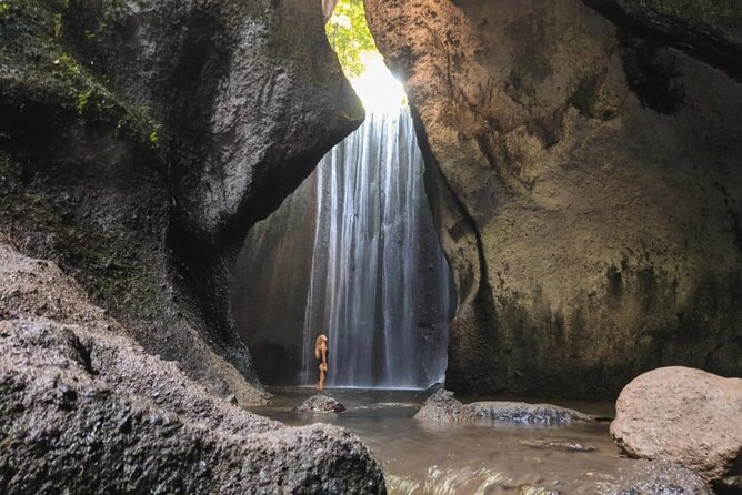 Discover the best waterfalls in Ubud and rice terraces tour - Sacred Monkey Forest Sanctuary: mossy paths and the reality of macaques