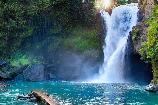 Discover Ubud: Exotism Ubud and Optional Meet the Bali Shaman - Tirta Empul Temple and Its Holy Water Rituals
