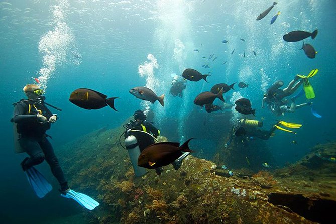 Dive at Tulamben Bali USS Liberty Ship Wreck - USS Liberty shipwreck: what you will see on the metal hull