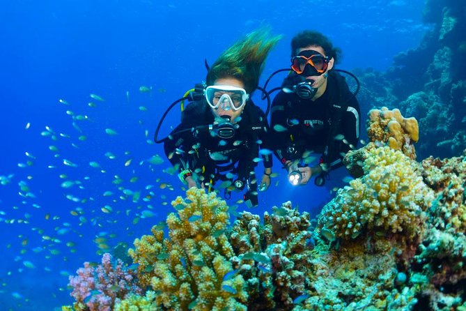 Dive at Tulamben Bali USS Liberty Ship Wreck - Lunch, water, and coffee or tea: the small perks that matter
