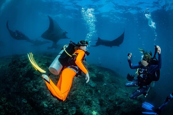 Diving in Nusa Penida - Key Highlights You’ll Actually Notice