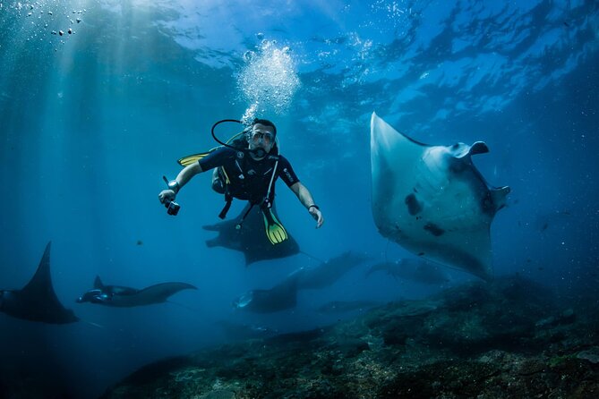 Diving in Nusa Penida - Manta-Ray Odds in Nusa Penida: What This Day Is Really About