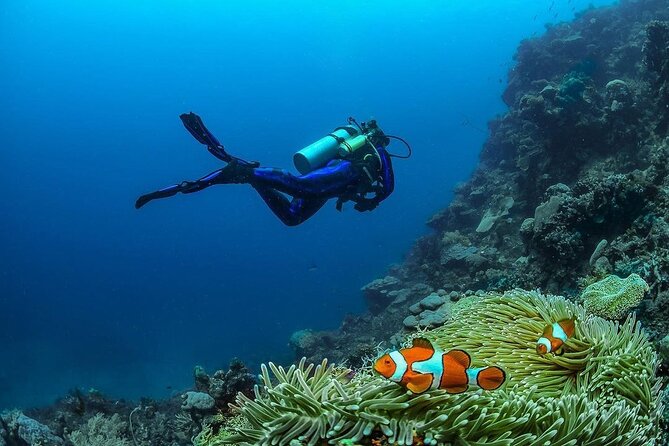 Diving in Nusa Penida - Weather Matters More Than You Think in Nusa Penida