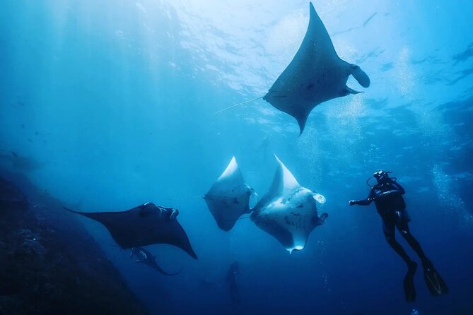 Diving with Manta Ray at Nusa Penida - Key Things I’d Plan Around Before You Go