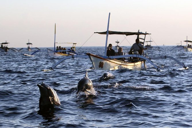 Dolphin Tour and Sunrise Watching in Lovina Beach - All Inclusive - Spinner dolphins in the real world: great odds, shared water