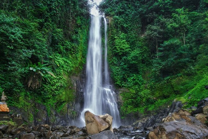 Dolphin Tour and Sunrise Watching in Lovina Beach - All Inclusive - Optional waterfall and temple upgrade: when to add more