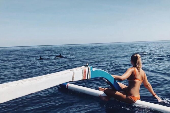 Dolphin Watching Tour, Swimming with Dolphins and Snorkeling - Key Things That Make This Tour Work